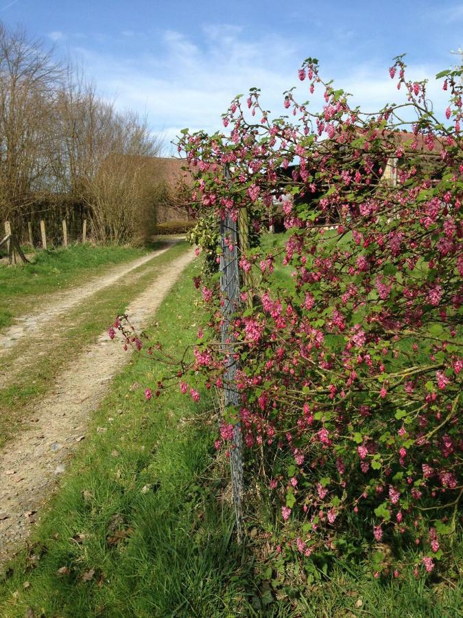B&B Bekersveld Vlezenbeek Luaran gambar